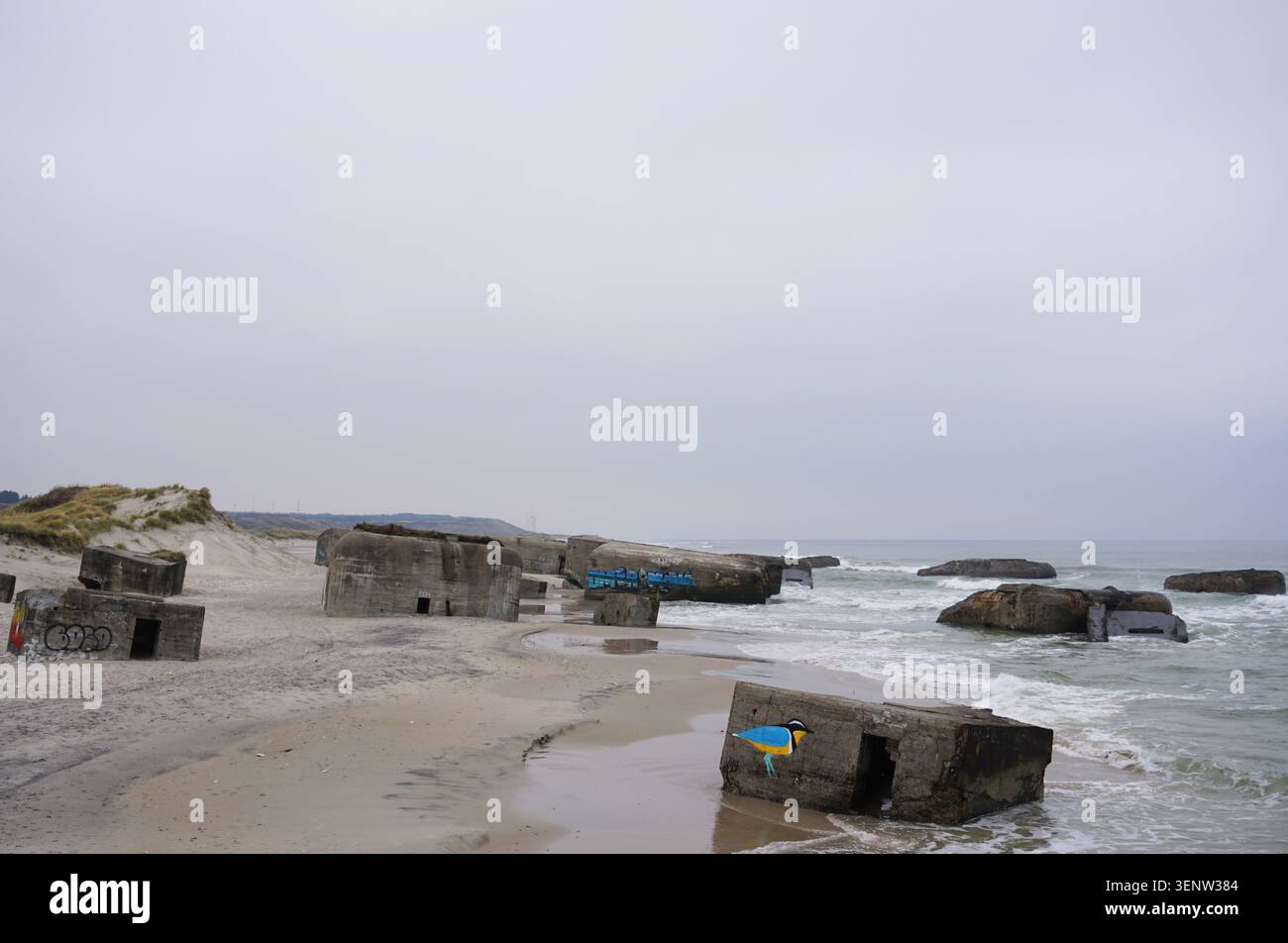 Numerosi bunker tedeschi della seconda guerra mondiale provenienti dal Vallo Atlantico sparsi lungo la costa erosa di Vigsø nello Jutland settentrionale, Danimarca Foto Stock