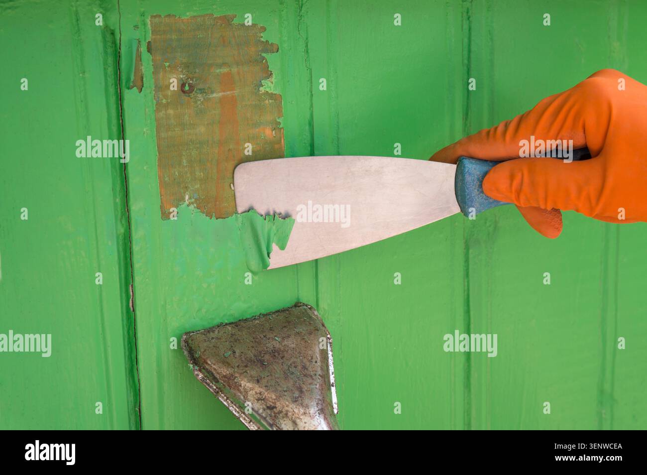 Rimuovere la vecchia vernice dal legno con una pistola ad aria calda e una cazzuola. Asciugacapelli. Foto Stock