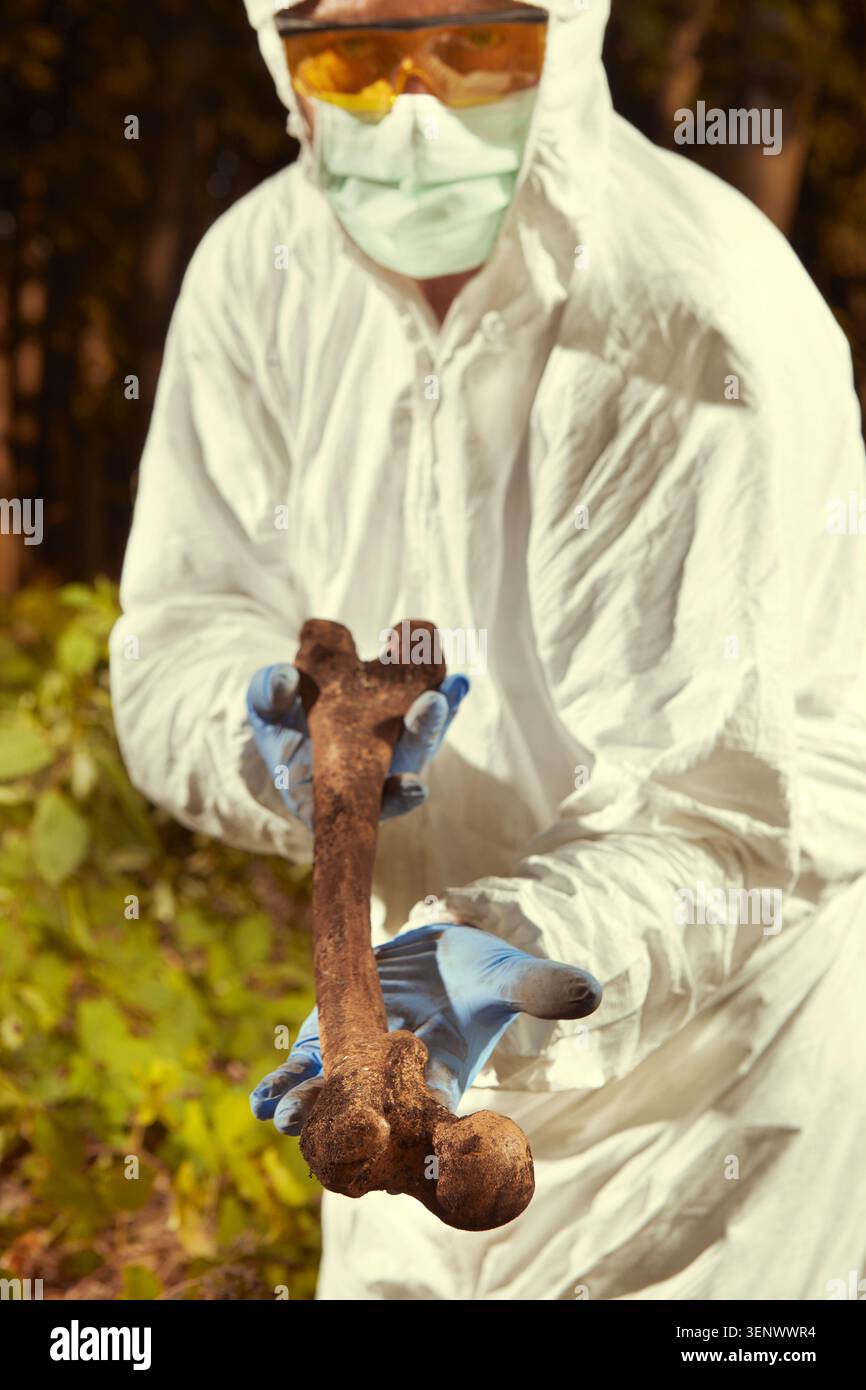 Resti umani più vecchi trovati nella foresta - raccolta di scheletro dalla polizia Foto Stock