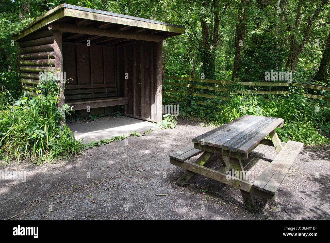 Una panchina da picnic in legno e un rifugio in legno in una lussureggiante radura del bosco al Penrhos Coastal Park, Isola di Anglesey, Galles del Nord. Foto Stock