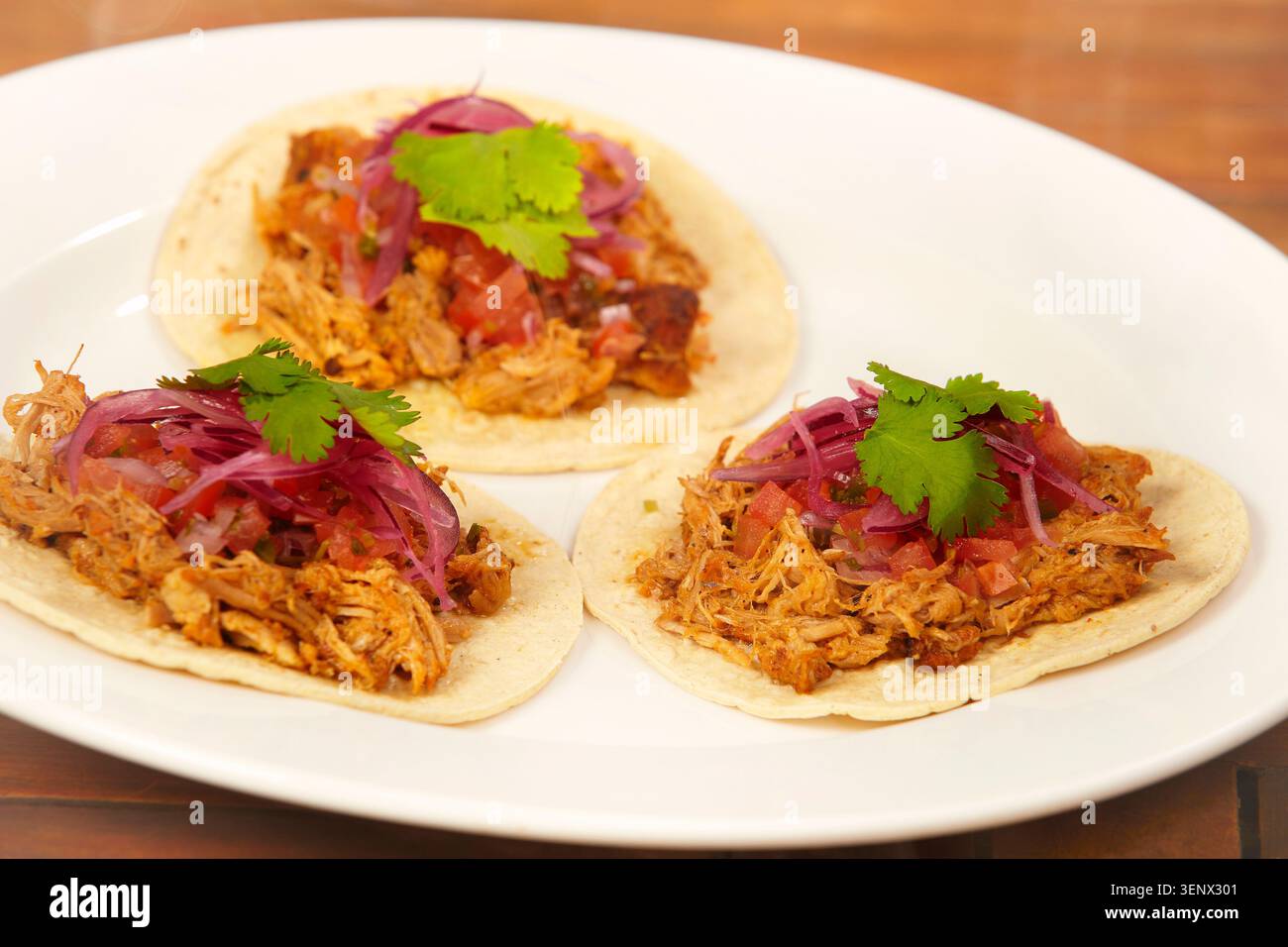 Gustosi tacos succosi con carne di maiale sfilacciata, salsa e cipolla marinata Foto Stock