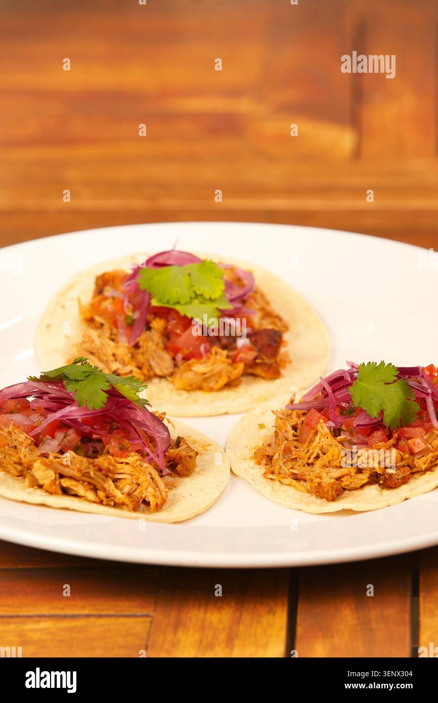 Gustosi tacos succosi con carne di maiale sfilacciata, salsa e cipolla marinata Foto Stock