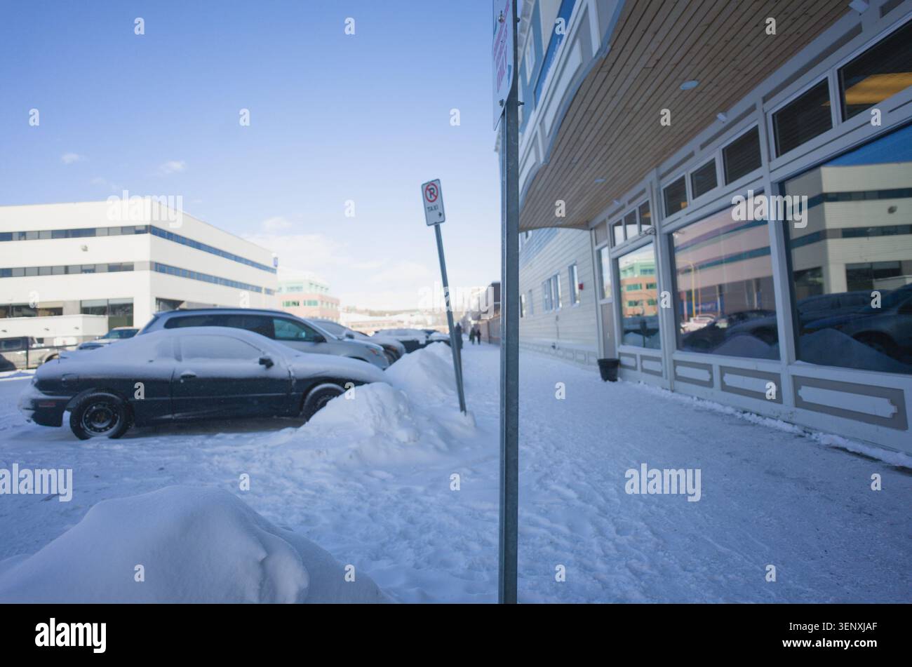 Whitehorse Winter Street Foto Stock