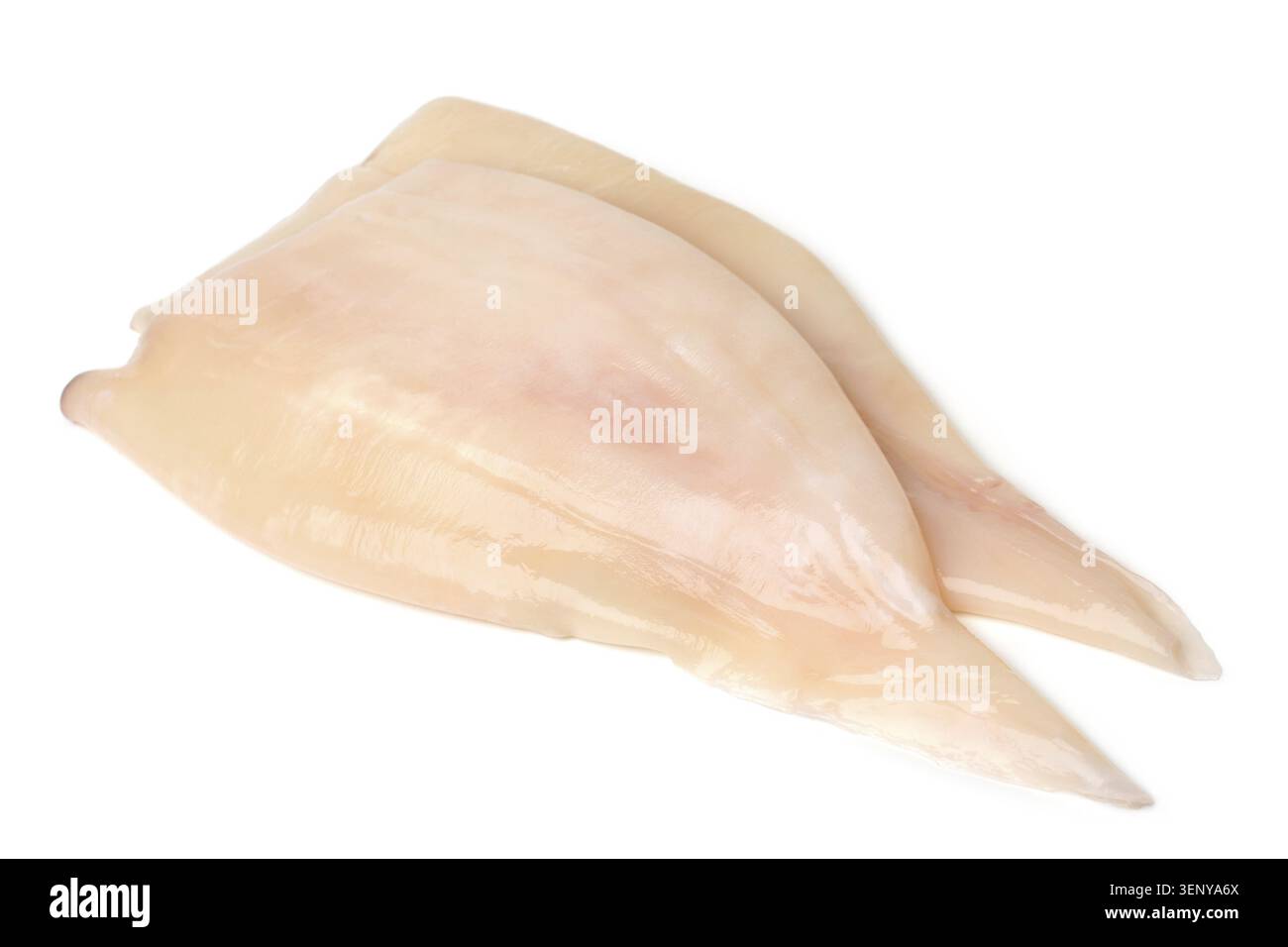 Calamari di filetto crudi freschi su sfondo bianco Foto Stock