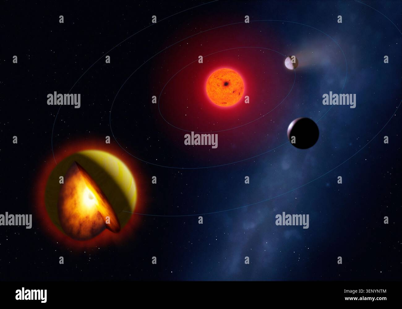 Questa illustrazione, creata per gli accademici delle università di Groningen, Oxford e Cambridge, mostra il sistema planetario intorno alla stella nana rossa soprannominata L 98-59, situata a 34 anni luce dalla Terra nella costellazione dei Volani. Attualmente sono noti cinque pianeti, i primi tre dei quali - mostrati qui - sono stati scoperti dalla sonda TESS. Sono tutte a bassa massa, paragonabili alla Terra, e probabilmente rocciose. Il terzo pianeta, L 98-59d, mostrato in sezione trasversale, ha un'atmosfera ricca di zolfo. Probabilmente possiede un "magma-oceano", che è un mantello spesso e caldo di roccia fusa. Foto Stock