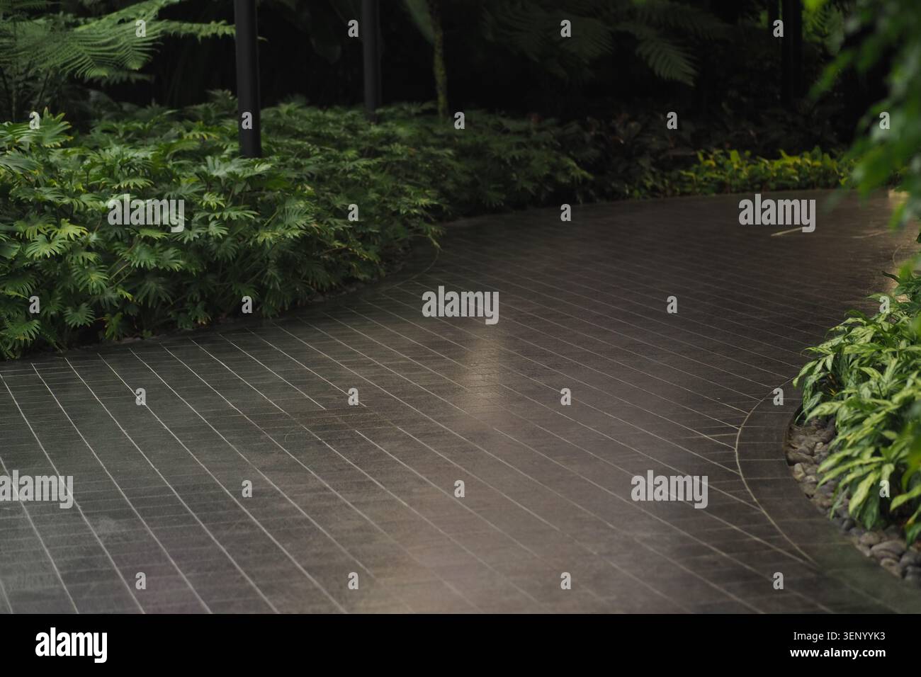 Percorso curvo in un giardino con lussureggianti piante verdi Foto Stock