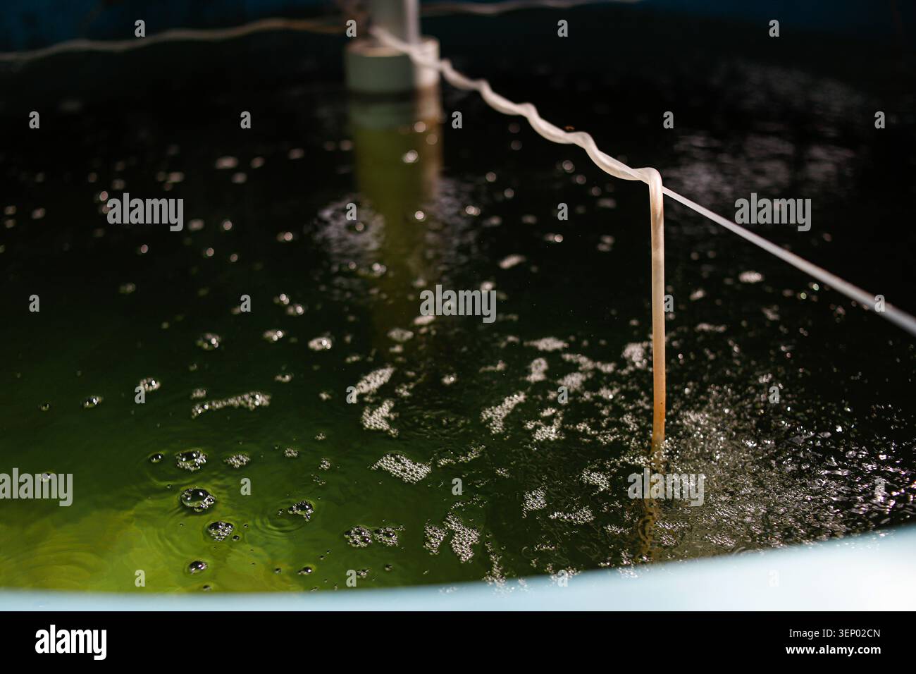 Sistema di aerazione acquacoltura in vasca di vivaio ittico – tecnologia di approvvigionamento di ossigeno per un'agricoltura ittica sostenibile e una gestione della qualità dell'acqua Foto Stock