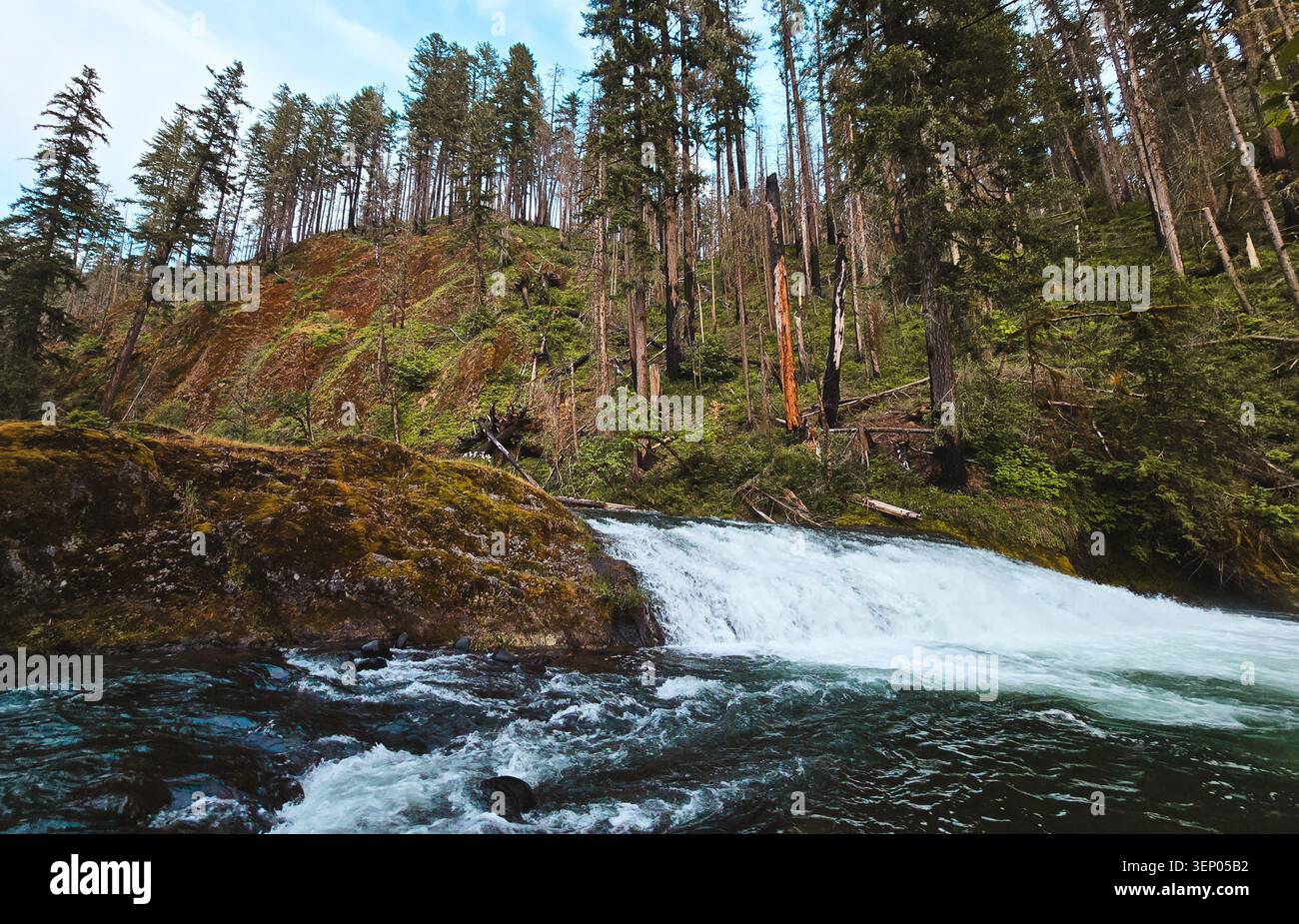 Salmon Creek Cascades di una cascata della Foresta e Mossy Ridge Over Rapids Foto Stock