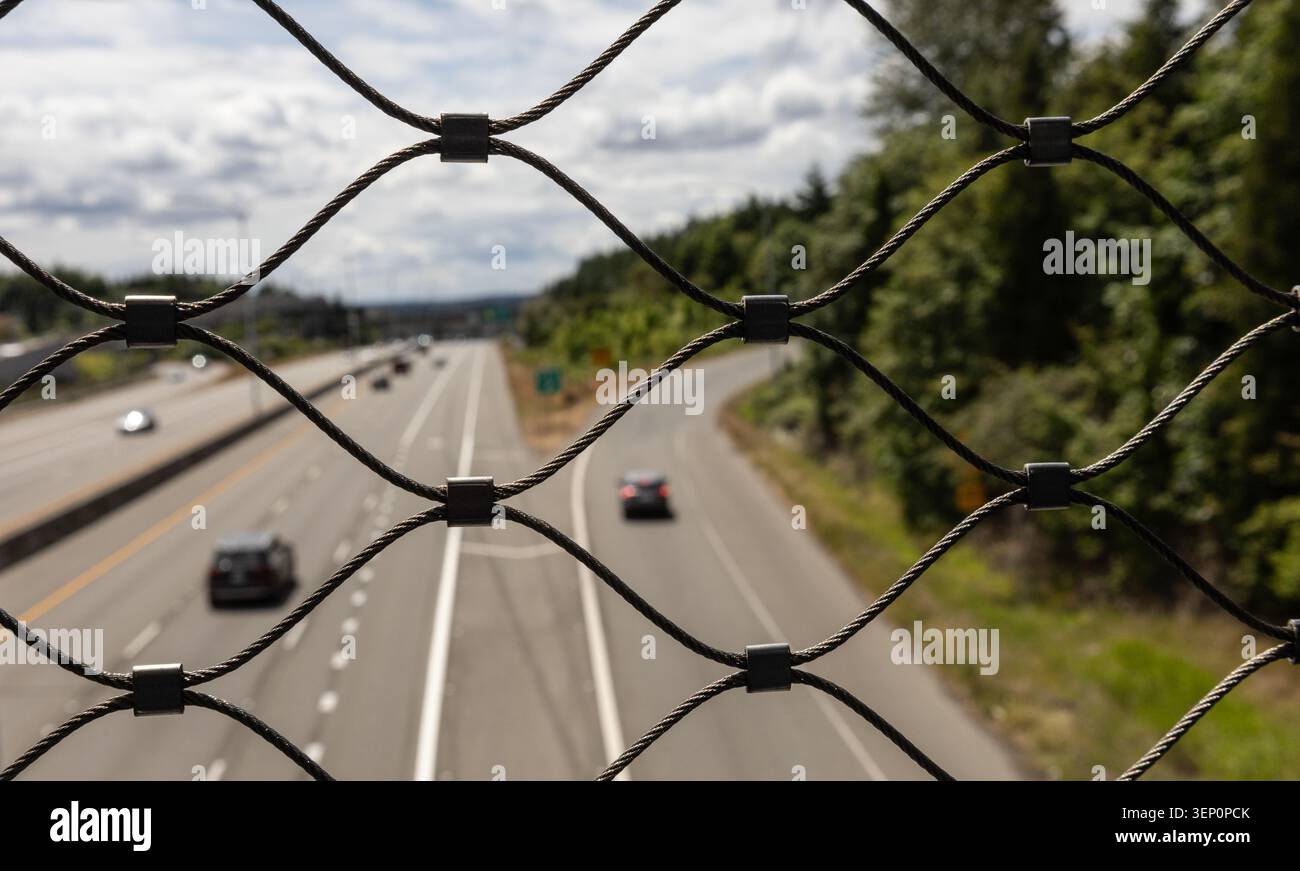 Rete metallica protettiva sopra l'autostrada con traffico sfocato e paesaggio forestale nello stato di Washington, Stati Uniti Foto Stock