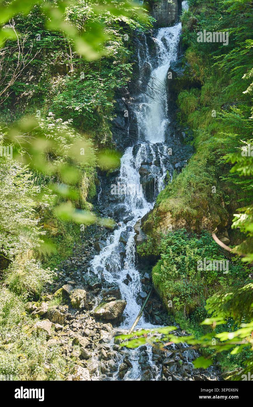 Un'alta cascata cade giù per pendii rocciosi attraverso una fitta foresta verde, creando un ambiente naturale tranquillo e rinfrescante. Foto Stock
