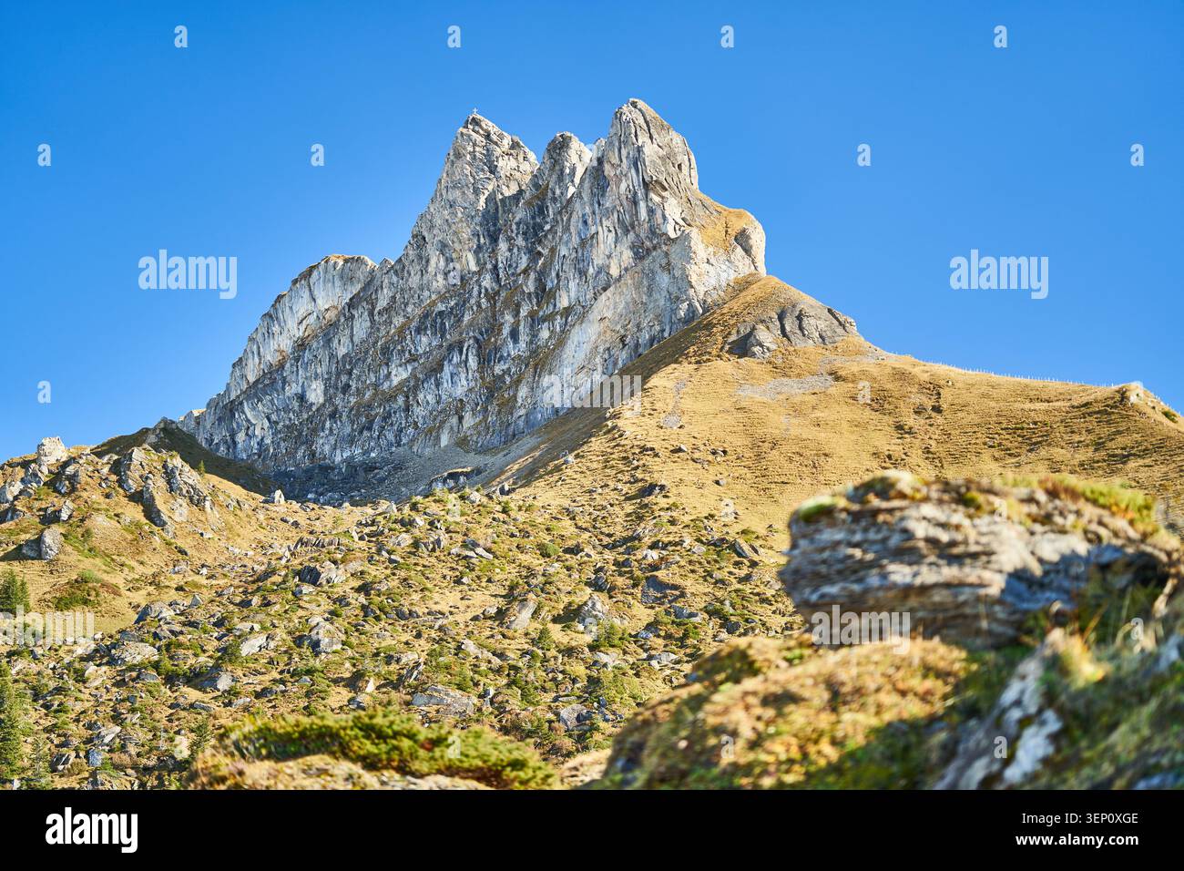 L'aspra vetta soleggiata sorge sopra i pendii rocciosi alpini e le creste erbose sotto un cielo azzurro. Foto Stock