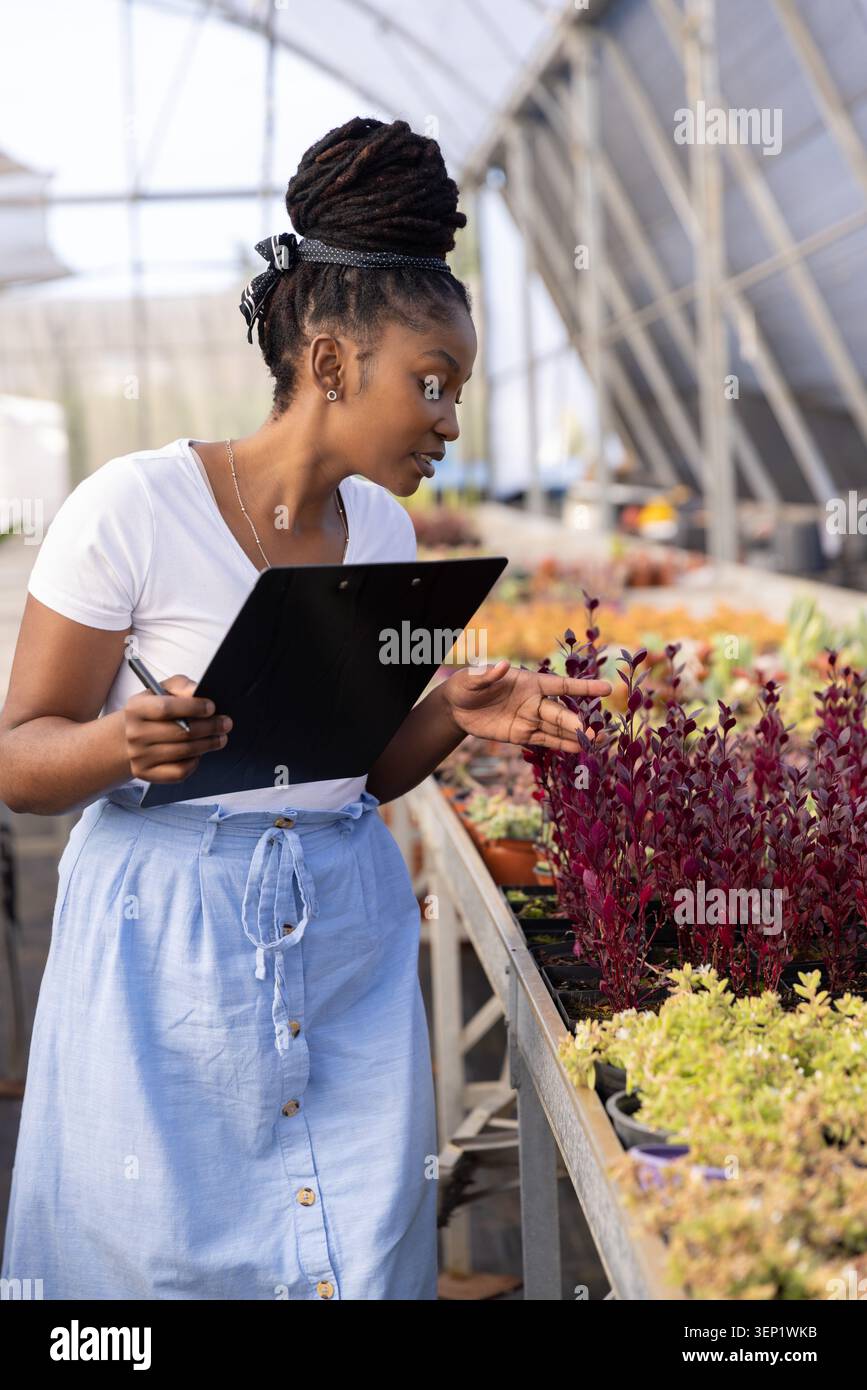Donna afroamericana adulta con appunti neri e penna che ispeziona piante viola in serra Foto Stock