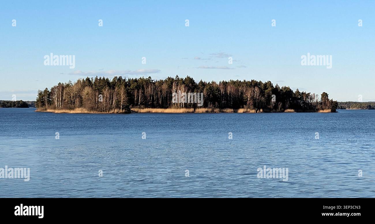 Piccola isola boscosa nel mezzo di un lago blu calmo - Immagine stock catturata con smartphone