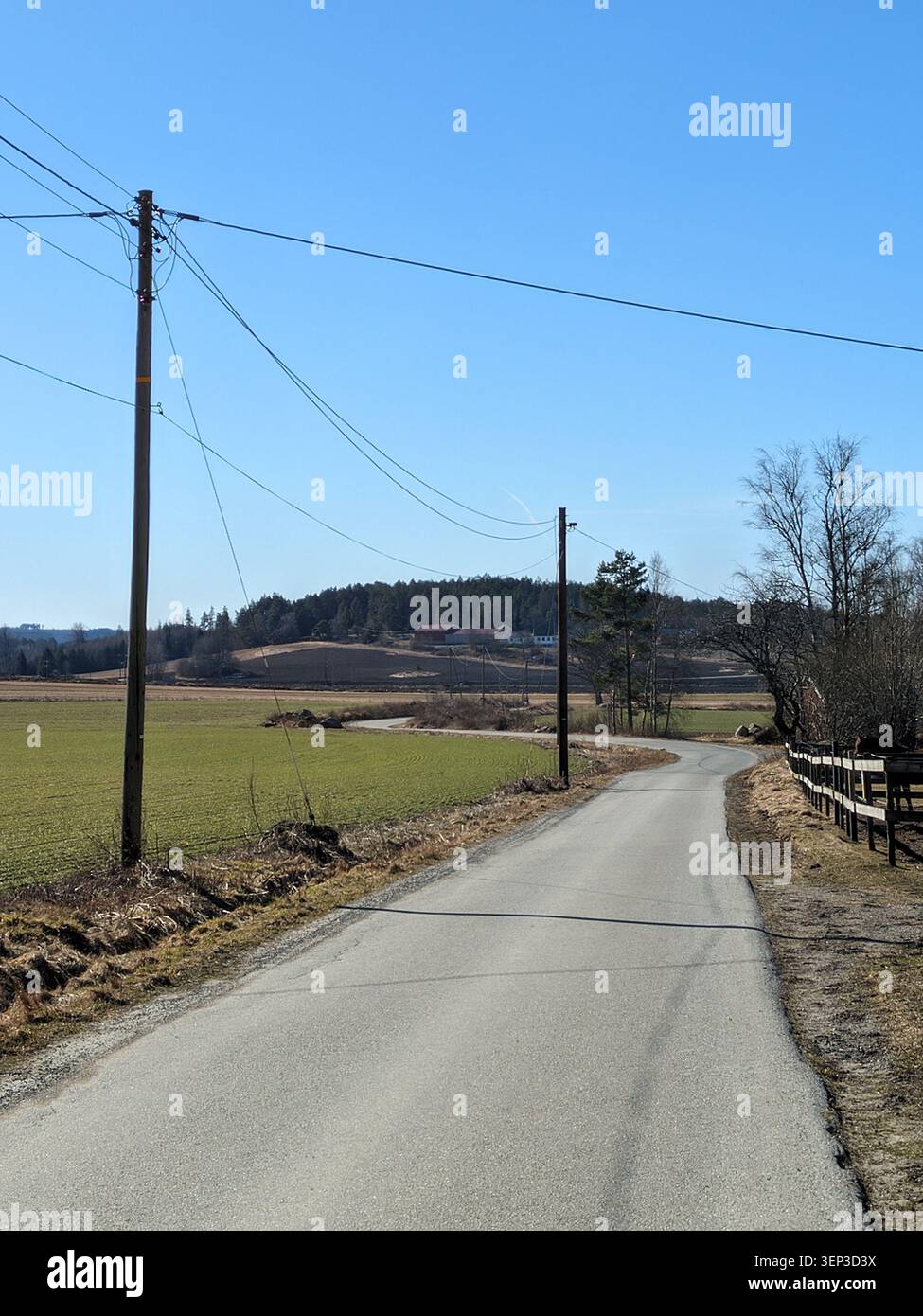 Stretta stradina di campagna asfaltata che attraversa verdi campi agricoli - Immagine stock catturata con smartphone