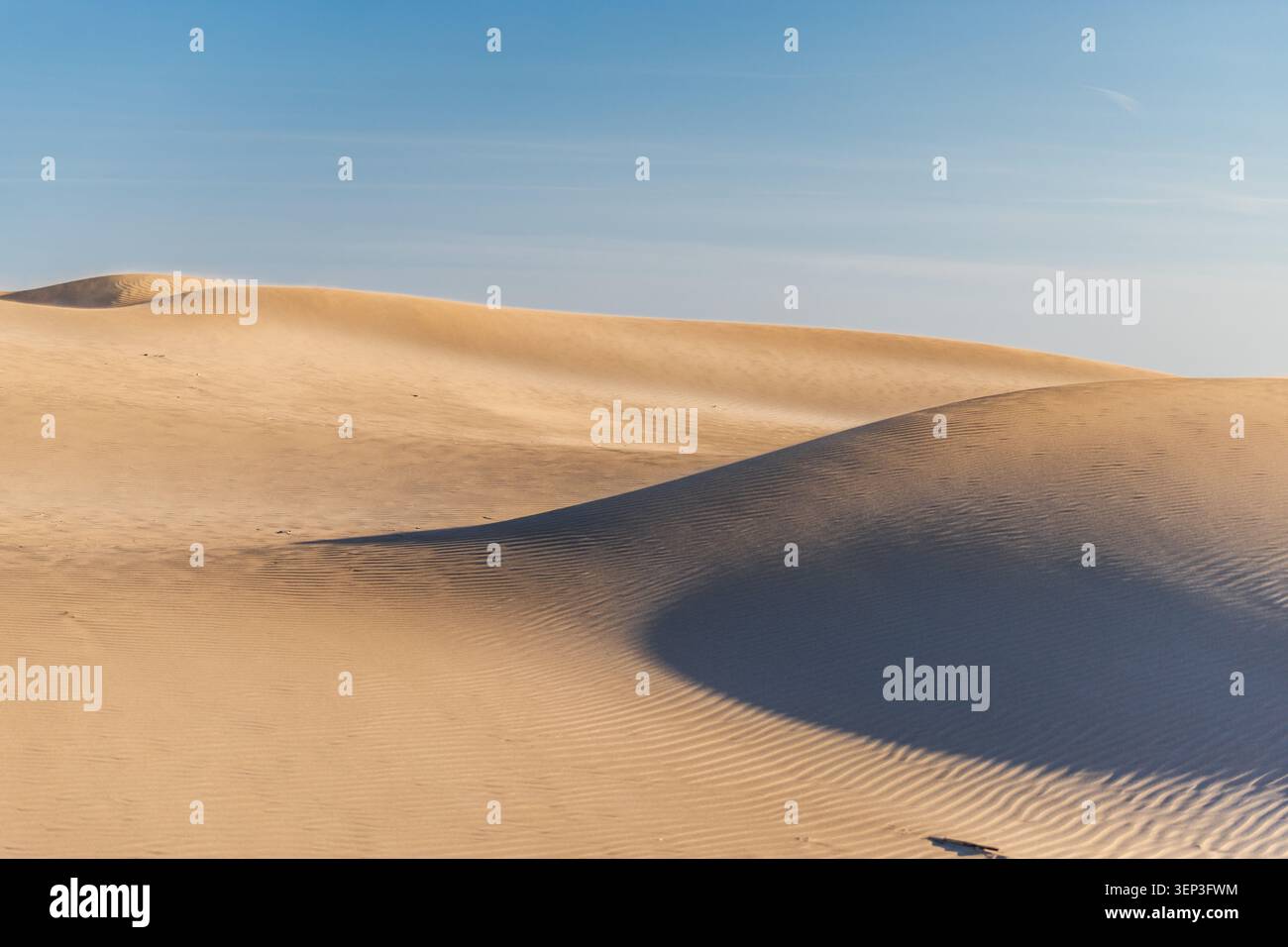 Dune di sabbia con spettacolari motivi d'ombra sotto il cielo azzurro Foto Stock
