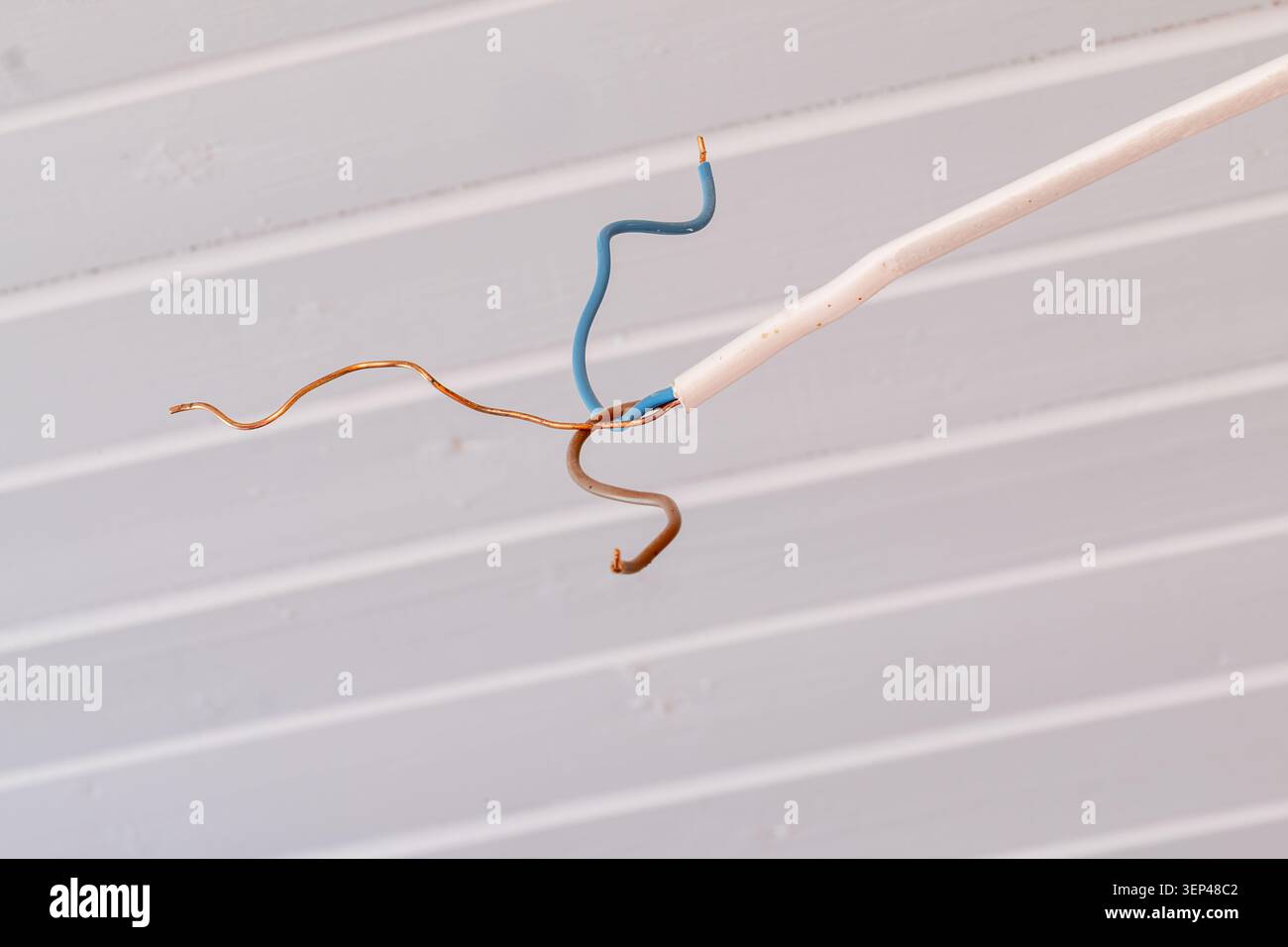 Cavo elettrico con fili esposti appesi al soffitto durante l'installazione Foto Stock