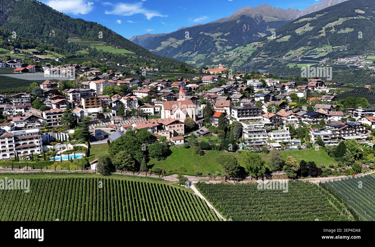 Ein Sommertag in Tirolo, Tirolo, oberhalb der Kurstadt Merano, Meraner Land, Burggrafenamt, Südtirol, alto Adige, Tourismus, hier der Blick auf die Ortschaft, Skyline mit der Pfarrkirche HL. Johannes der Täufer mitte und den Sarntaler Alpen mit Hirzer im Hintergrund, unten Weinberge *** Una giornata estiva a Tirolo, Tirolo, sopra la città termale di Merano, Meraner Land, Burggrafenamt, alto Adige, alto Adige, turismo, qui la vista del paese, skyline con la chiesa parrocchiale di San Giovanni Battista con le Alpi Sarentine con Hirzer sullo sfondo, vigneti sottostanti Foto Stock