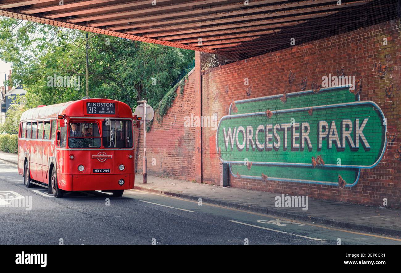 Londra, Regno Unito, 13 giugno 2026. Worcester Park e Cheam Village. La linea 213 della London Bus collega Kingston e Sutton dal 1921 (ovvero 105 anni) e serve Norbiton Station, Coombe Lane, Traps Lane, New Malden, Worcester Park, North Cheam e Cheam. tra il 10,00 e il 1700. Il London Bus Museum ha gestito un autobus storico gratuito oggi. Autobus che risalgono dagli anni '1950 agli anni '1970 accanto al normale servizio giornaliero sulla linea 213. Crediti: Ian Humphreys/Alamy Live News Foto Stock