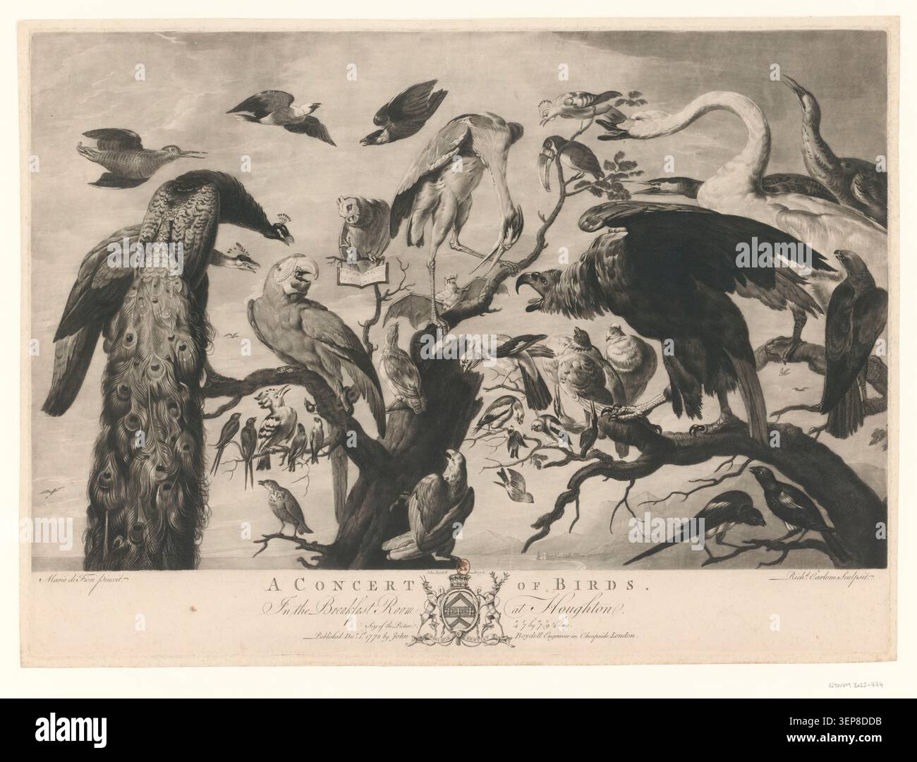 Un'incisione presenta un concerto di uccelli ambientato nella sala colazioni di Houghton, basato su un dipinto di Mario di Fiori e inciso da Richard Earlom, che riflette la composizione decorativa avicola del XVIII secolo all'interno di spazi interni aristocratici. Foto Stock