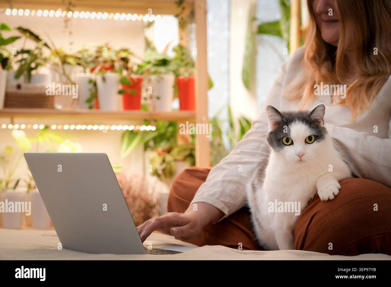 Una donna ama il suo ambiente di lavoro lontano da casa con il suo gatto che riposa accanto a lei. Circondata da piante, utilizza il suo laptop per gestire le attività durante la creazione di un Co Foto Stock