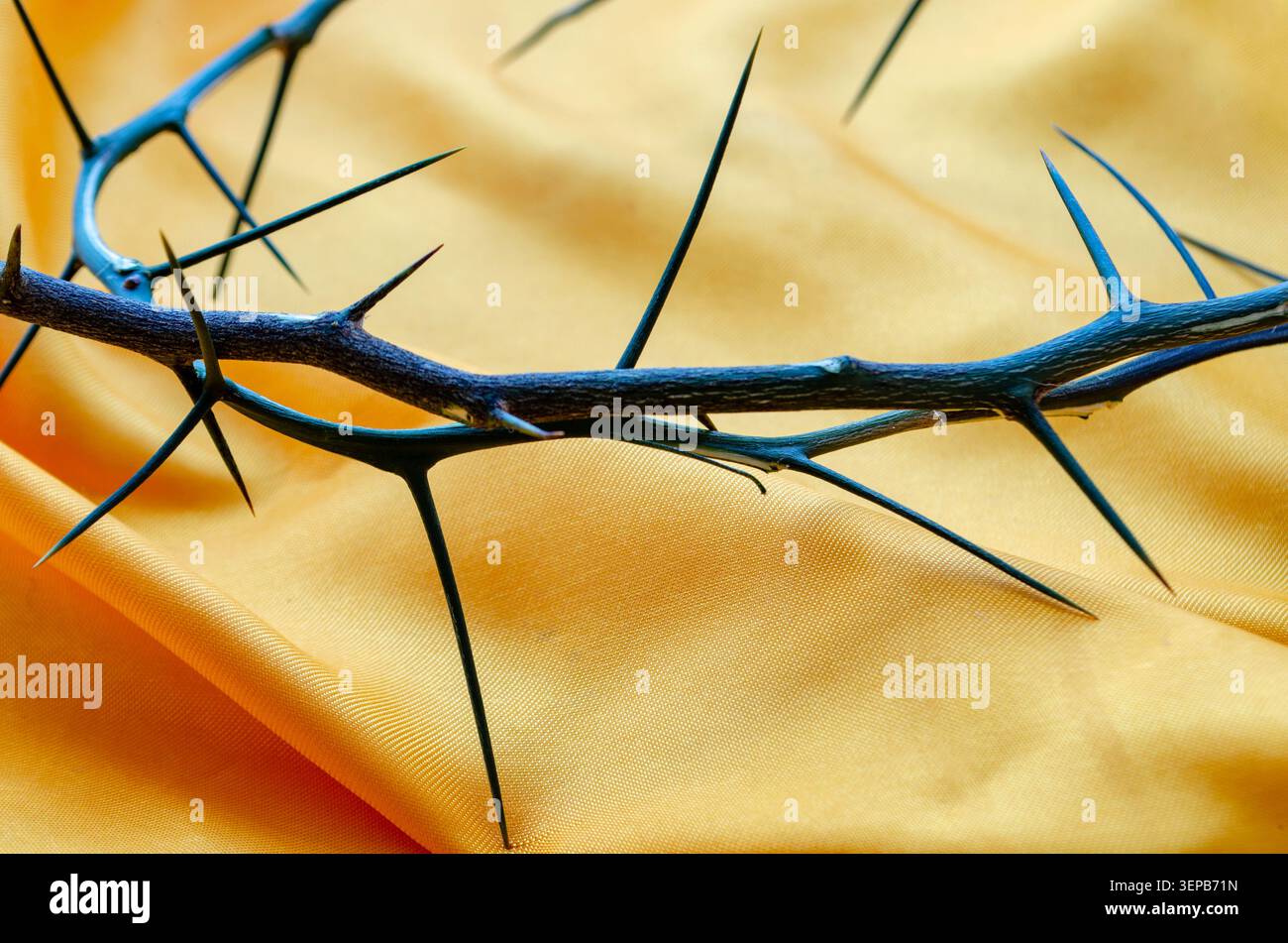 Spettacolare Corona di spine su sfondo testurizzato scuro che rappresenta la sofferenza Foto Stock