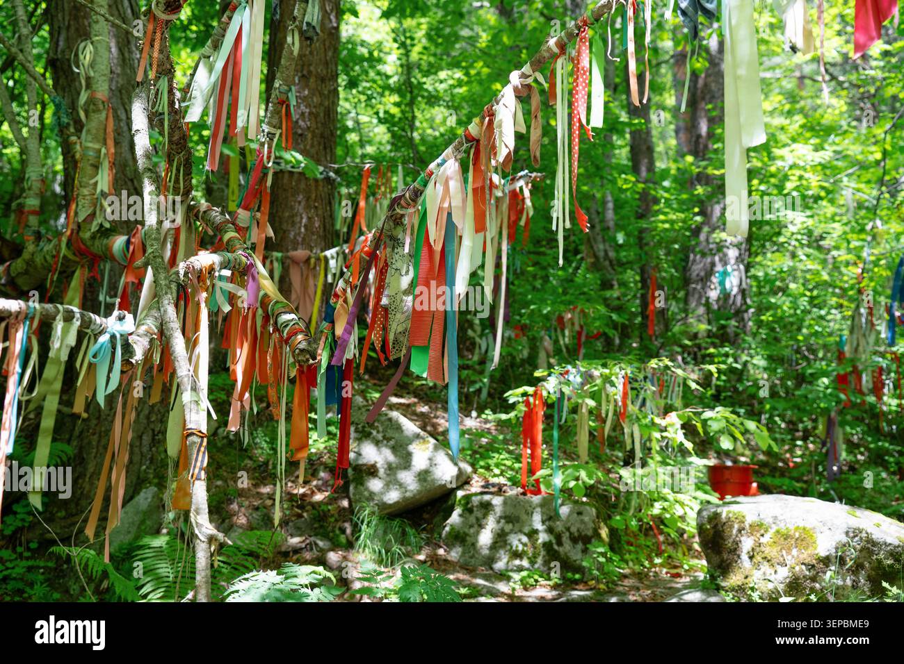 Molti nastri rituali colorati e panni legati ai rami degli alberi in una foresta sacra. Antico luogo rituale tradizionale in un verde bosco con vibranti ri Foto Stock