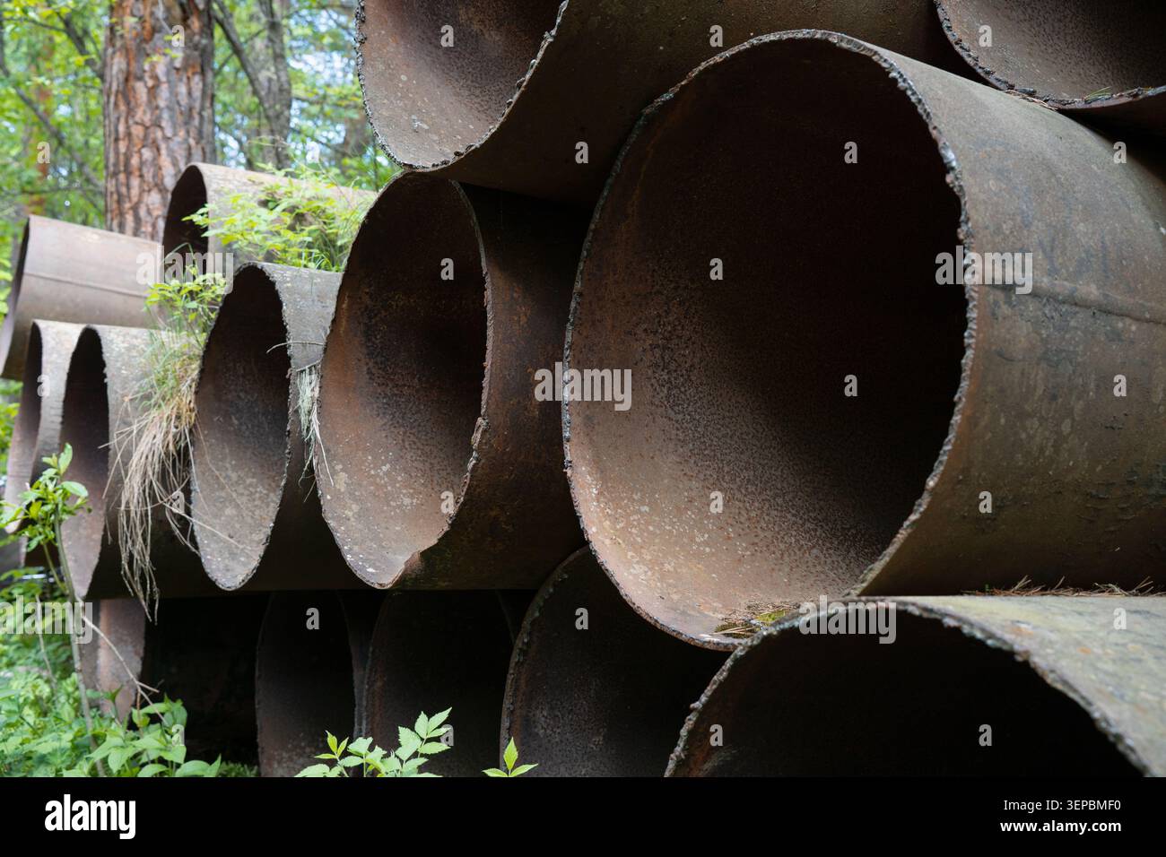 Pila di tubi metallici pesanti arrugginiti abbandonati nel bosco, rifiuti industriali e riciclaggio di rottami di ferro . Background industriale astratto con g Foto Stock