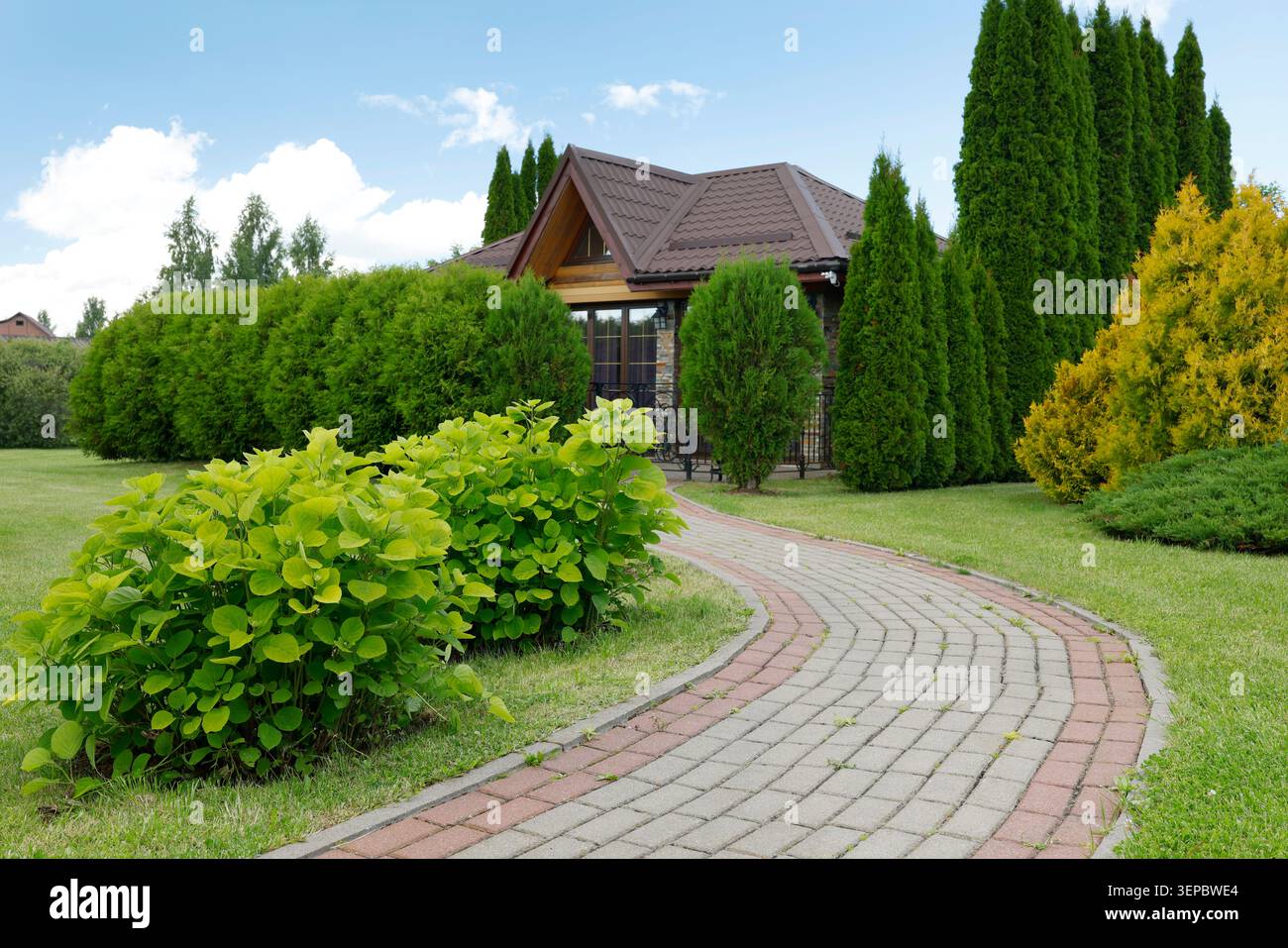 Progetto di progettazione paesaggistica professionale con passerella curva in pietra. Giardino sul retro splendidamente curato con lussureggianti arbusti decorativi e. Foto Stock