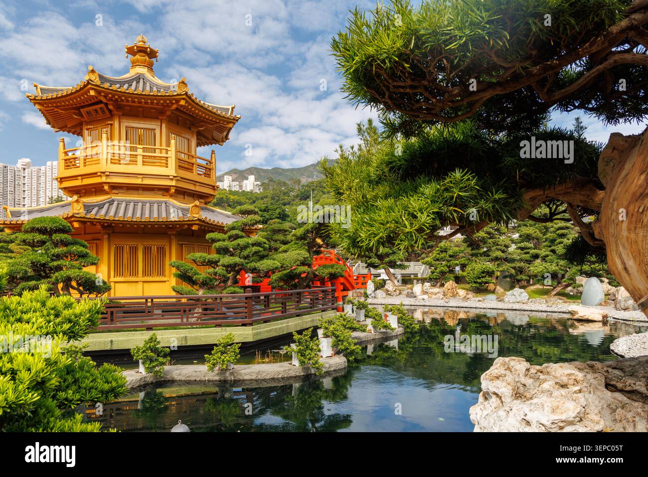 Tradizionale giardino giapponese a Hong Kong con laghetto, pietre e vegetazione, tranquilla oasi urbana Foto Stock
