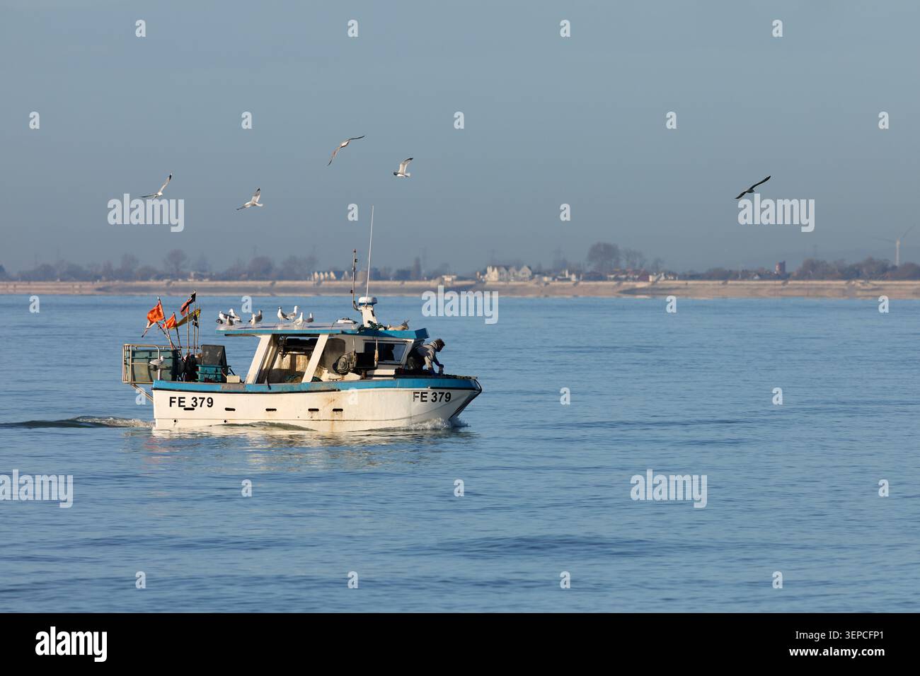 Un piccolo catamarano da pesca su un mare blu nel Canale della Manica, circondato da gabbiani, che lavorano vicino alla riva vicino a Hythe, Kent, Regno Unito. Foto Stock