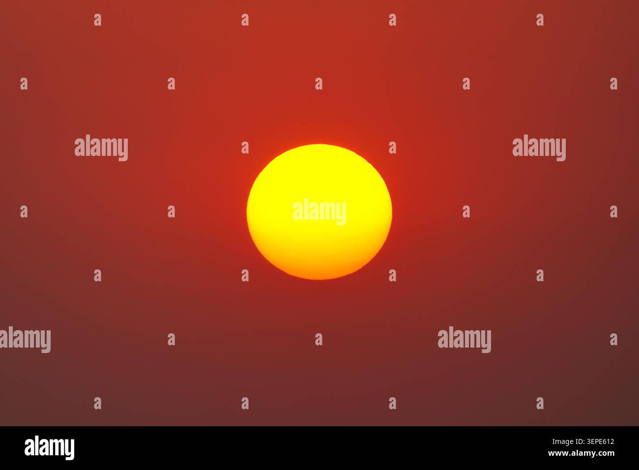 Sole rotondo giallo dorato che si illumina contro il cielo naturale caldo e sfumato al mattino Foto Stock