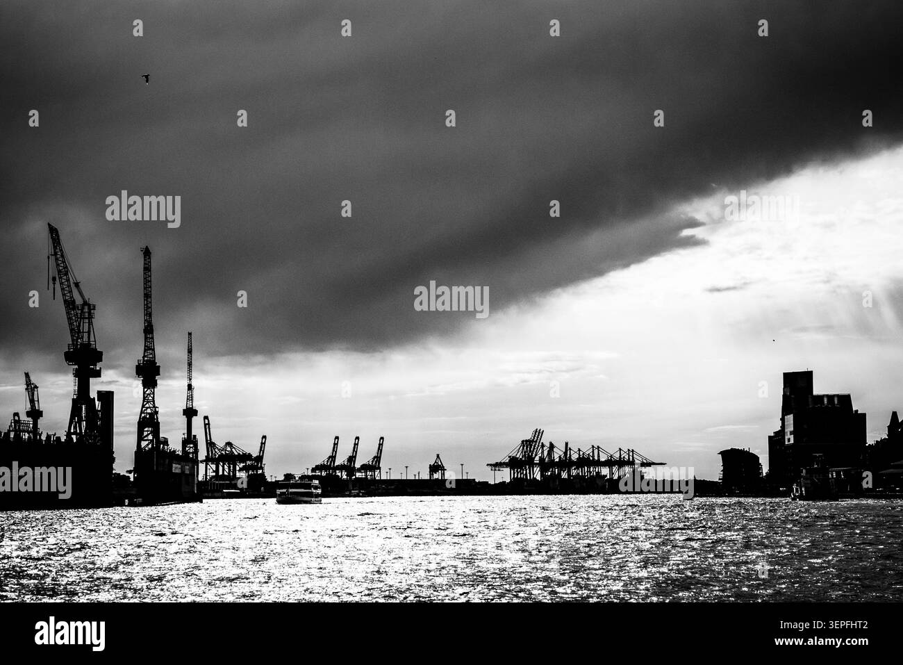 Porto di Amburgo (Hamburger Hafen) con gru container sagomate contro un cielo tempestoso sul fiume Elba, in Germania. Foto Stock