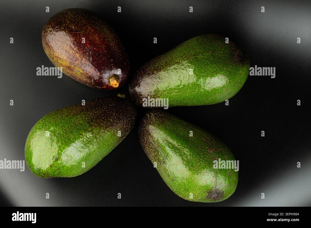 Quattro avocado siedono su una superficie scura, con due avocado verdi e due dalla pelle scura posti in cerchio. Foto Stock