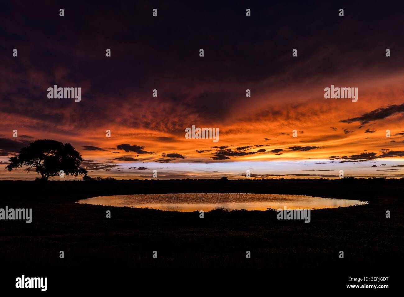 Il cielo fiammeggiante si riflette in un tranquillo laghetto al crepuscolo Foto Stock
