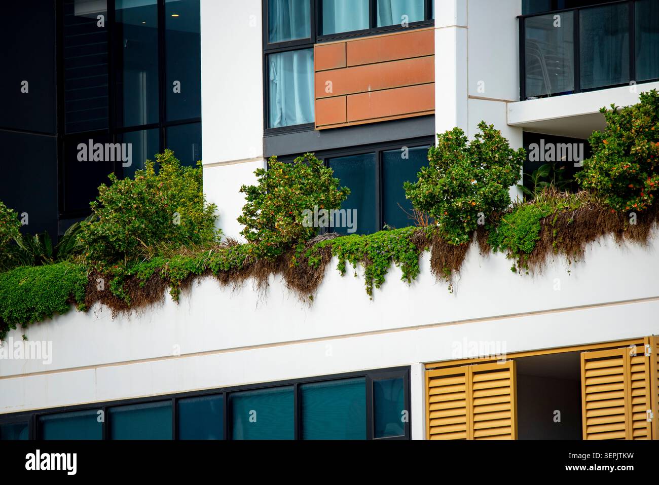 Micro Greening in città Foto Stock