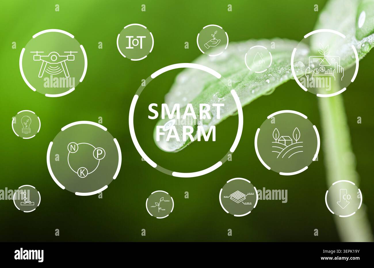 Concetti di azienda agricola intelligente con icone e rappresentazione tecnologica su sfondo verde Foto Stock
