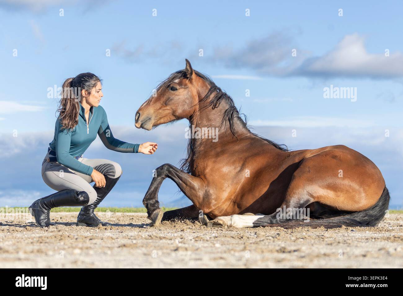Cavallo Kaimanawa. Kelly Wilson con un cavallo da baia, disteso su una spiaggia. Nuova Zelanda Foto Stock