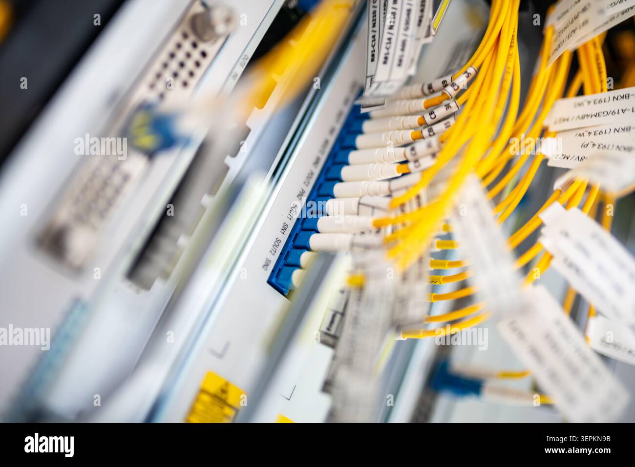 Primo piano dello chassis dello switch di rete ad alta densità con patch cord in fibra ottica ed etichette dei cavi nella sala server. Foto Stock