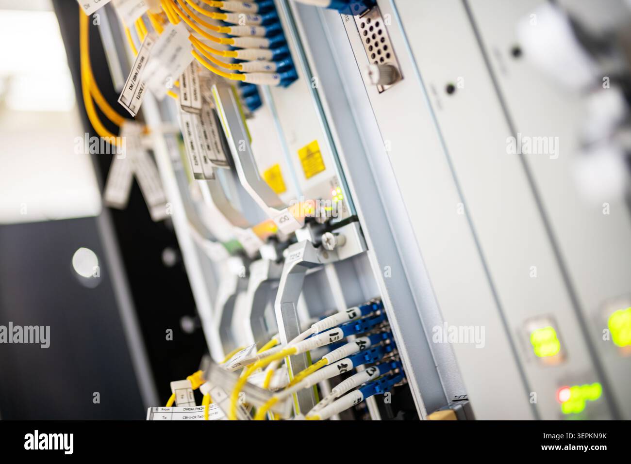 Primo piano dello chassis dello switch di rete ad alta densità con patch cord in fibra ottica ed etichette dei cavi nella sala server. Foto Stock