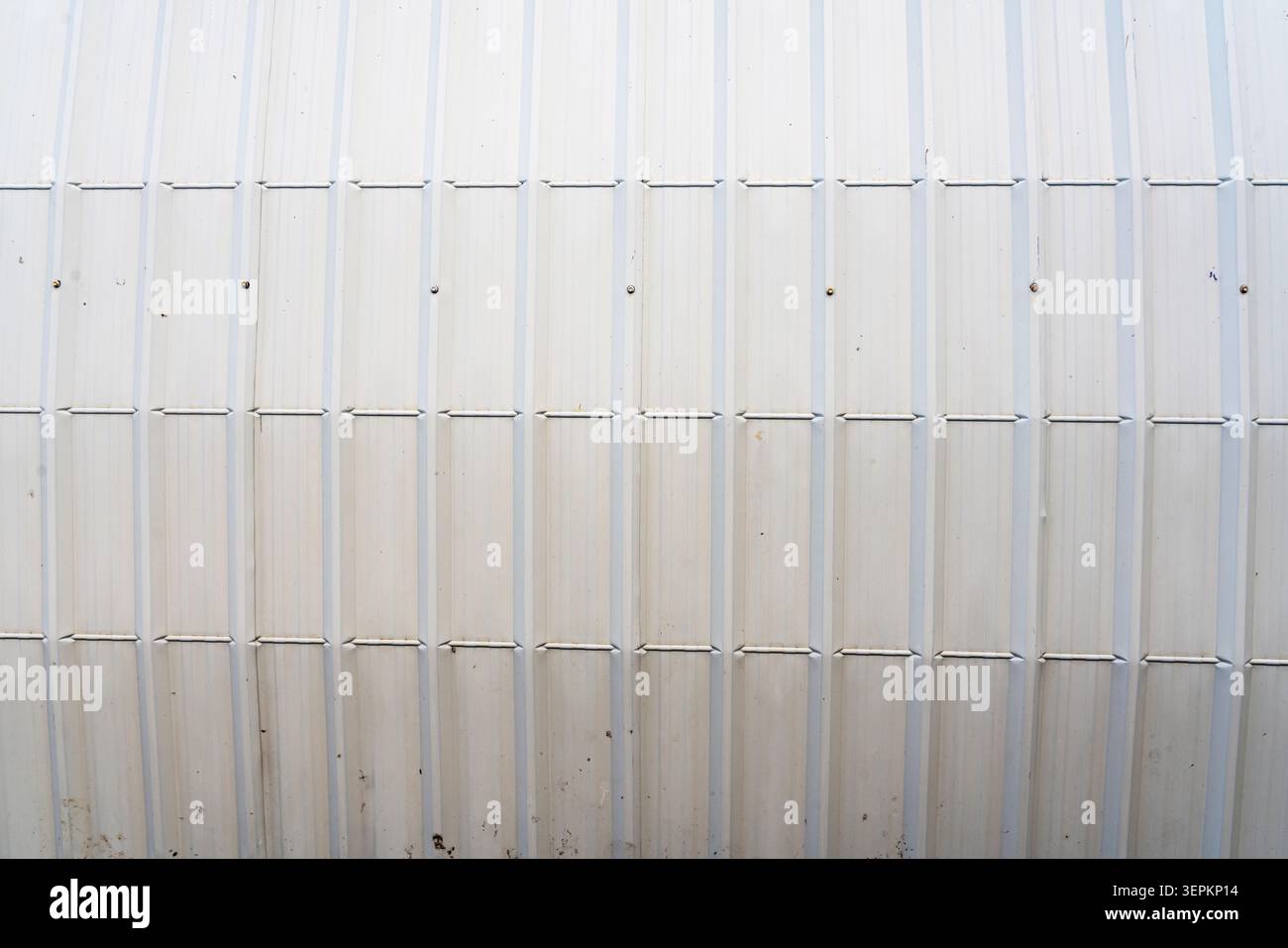 Una semplice parete verticale in metallo con rivetti distanziati uniformemente che presentano una superficie robusta adatta per applicazioni industriali, edili o architettoniche Foto Stock