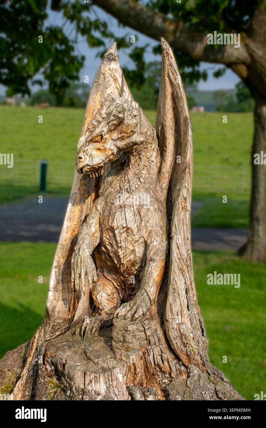 Scultura in legno di un drago in un campo vicino a Corwen, Denbighshire, Galles, Regno Unito Foto Stock