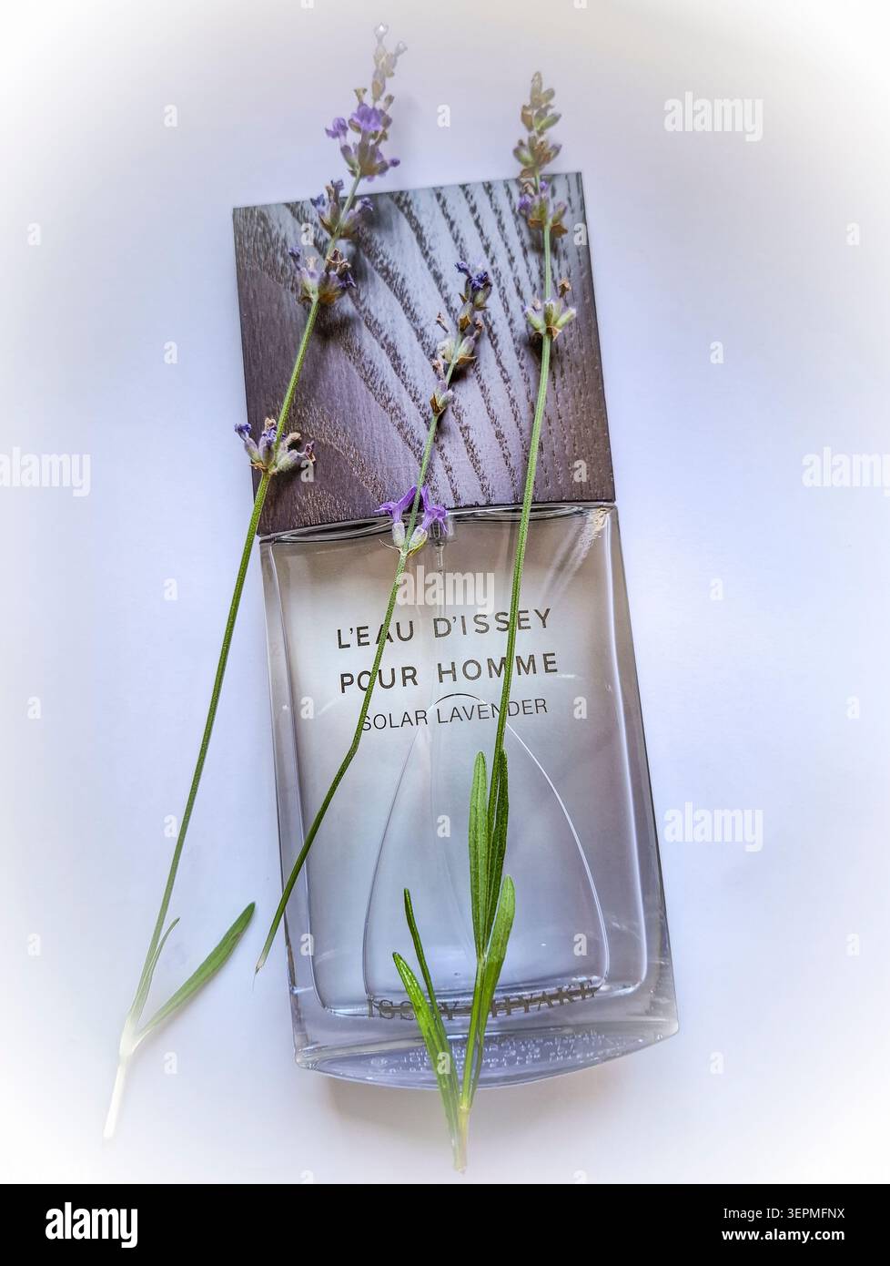 Una bottiglia di profumo di la Eau d'Issey Pour Homme Solar Lavender si trova accanto ai ciuffi di lavanda su una superficie in legno testurizzato. La composizione evidenzia la p Foto Stock
