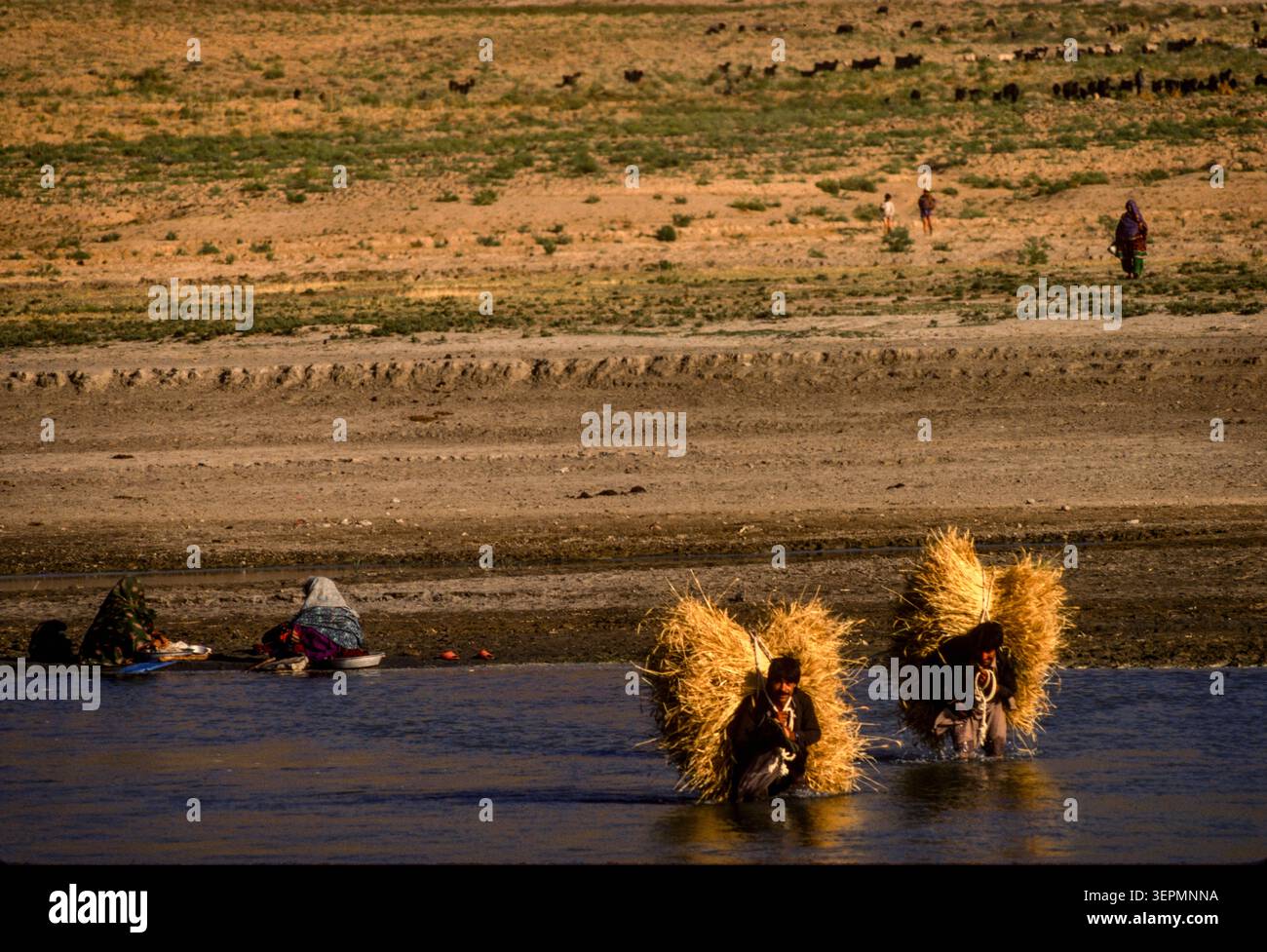 Le donne nomadi vengono sulle rive del fiume Kabul, vicino alla capitale, per riempire i loro contenitori d'acqua mentre gli agricoltori portano il fieno sulle spalle, g Afghanistan agosto 1992 Foto Stock