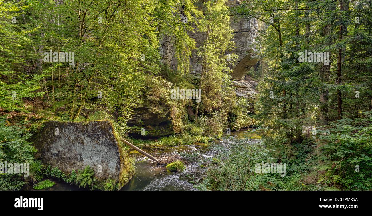 Gola selvaggia (Divoká soutěska) nel Parco nazionale della Svizzera boema, Repubblica Ceca, con scogliere di arenaria e paesaggi forestali in estate. Foto Stock