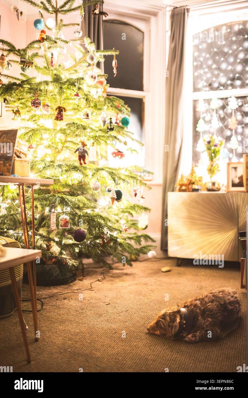Una scena calda e invitante cattura la magia della vigilia di Natale, con un albero decorato e un cane soddisfatto che riposa pacificamente Foto Stock