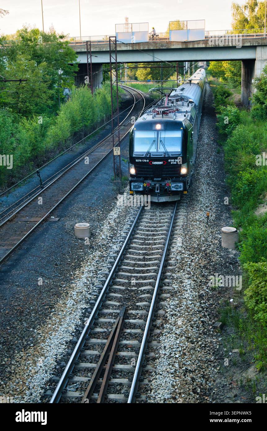 Un treno passeggeri InterCity Express passa sotto un ponte di cemento attraverso verdi alberi di periferia. Foto Stock