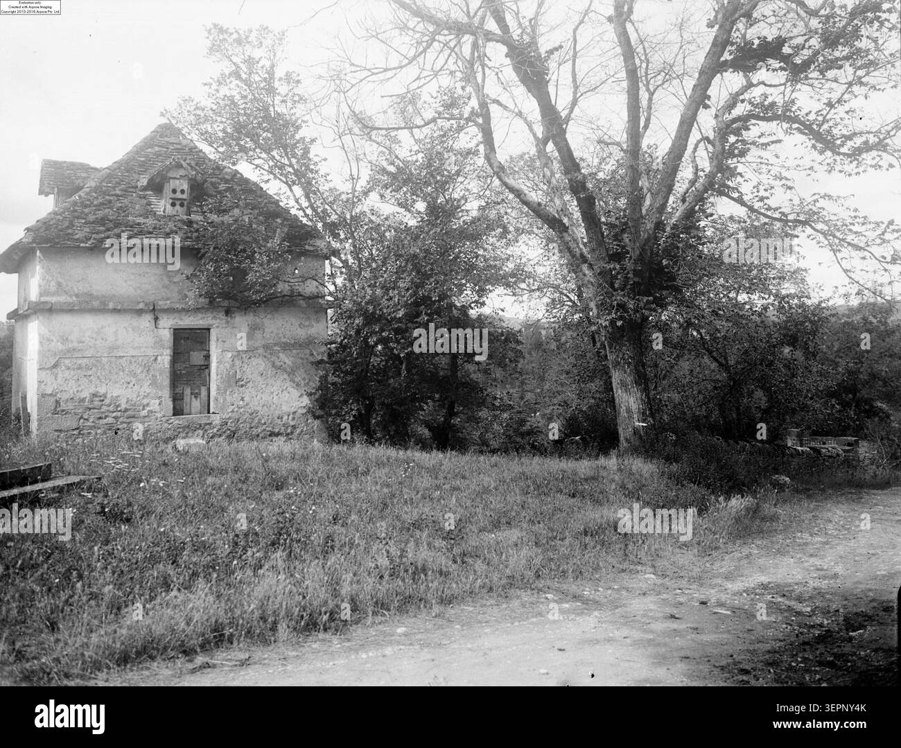 L'ingresso al villaggio di Cornusson presenta un prominente olmo accanto a una casa sulla strada e a un'abitazione rurale, con vegetazione estiva che forma la scena di avvicinamento a Parisot, Tarn-et-Garonne, Francia durante la fotografia monocromatica del 1907. Foto Stock