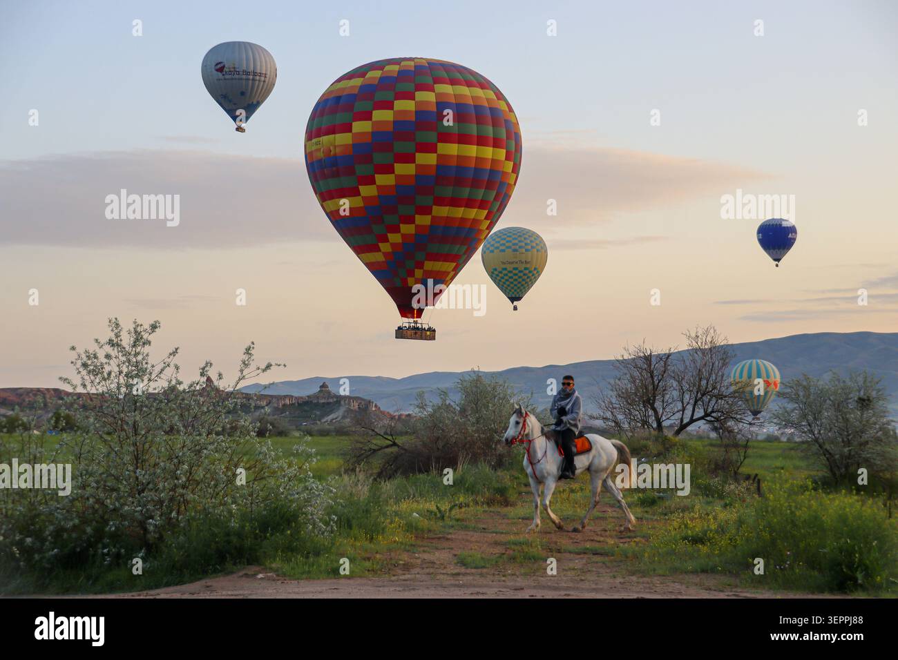 Una scena colorata di mongolfiere che si innalzano sull'unico paesaggio della Cappadocia all'alba. Foto Stock