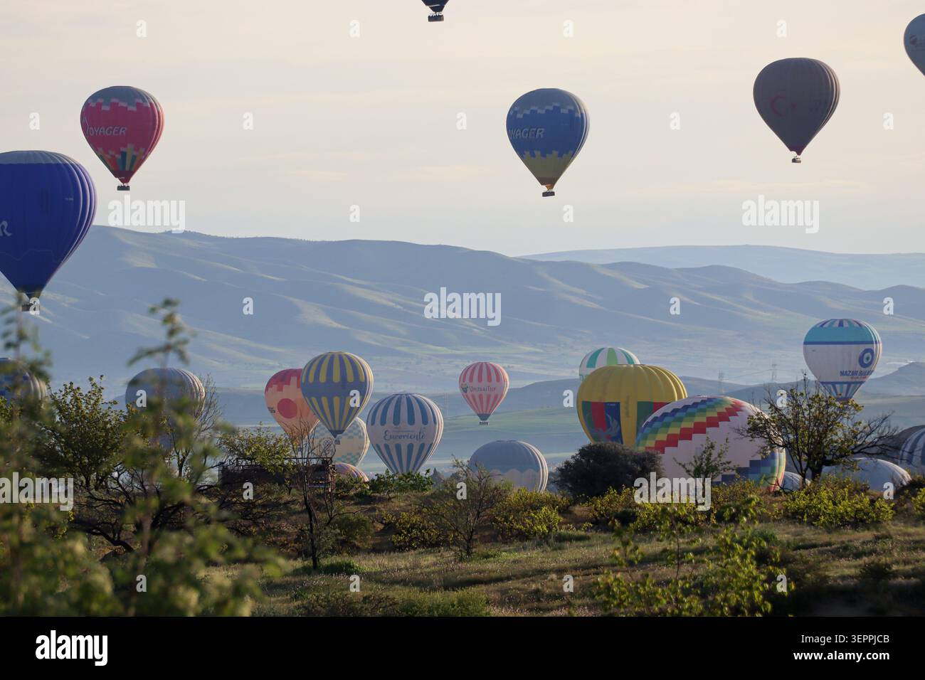 Una vivace scena di mongolfiere che si innalzano sopra l'unico paesaggio della Cappadocia, mostrando la sua bellezza naturale. Foto Stock