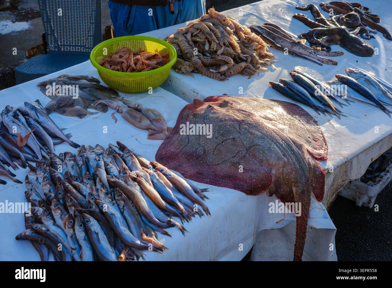 Una variopinta gamma di pesce fresco, tra cui pesce, calamari e polpo, è esposta su un tavolo del mercato a Essaouira, Marocco. La vivace scena cattura Foto Stock